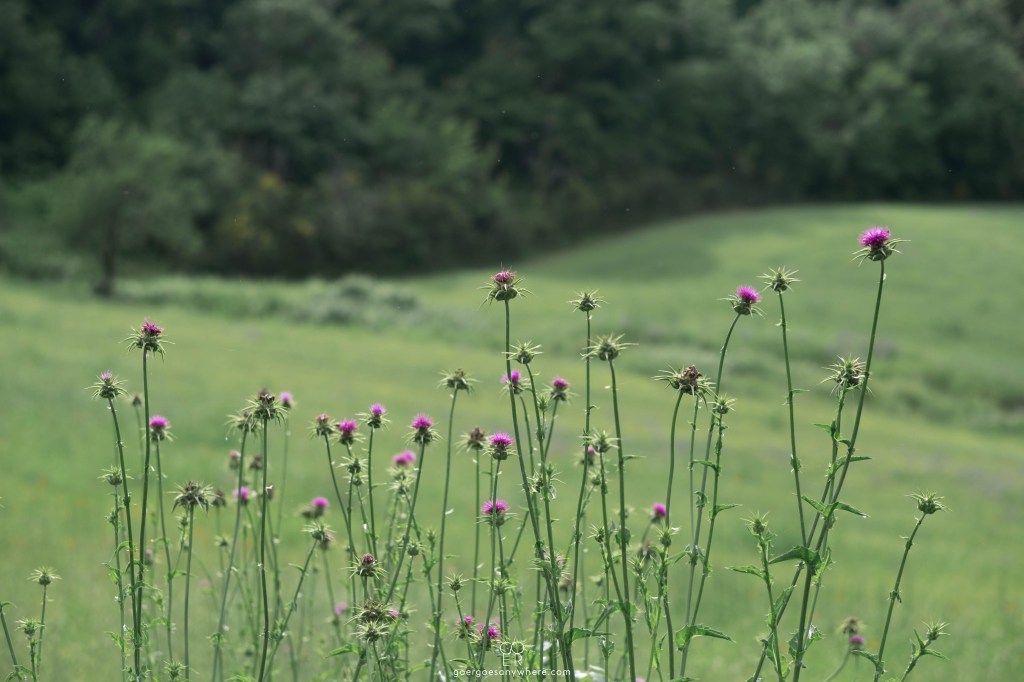 บ่อน้ำพุร้อนอิตาลี3